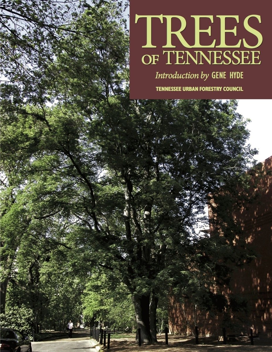 Trees of Tennessee - Dexterity Books