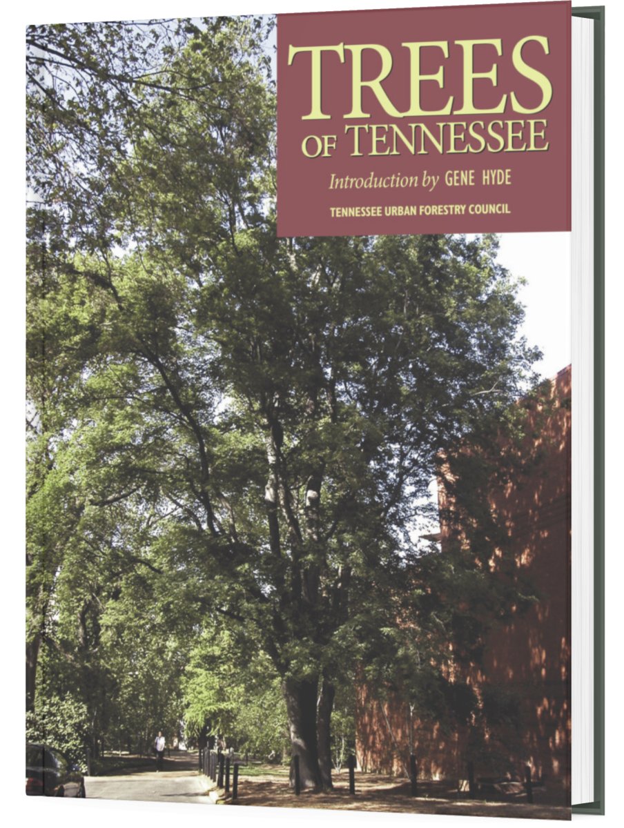 Trees of Tennessee - Dexterity Books